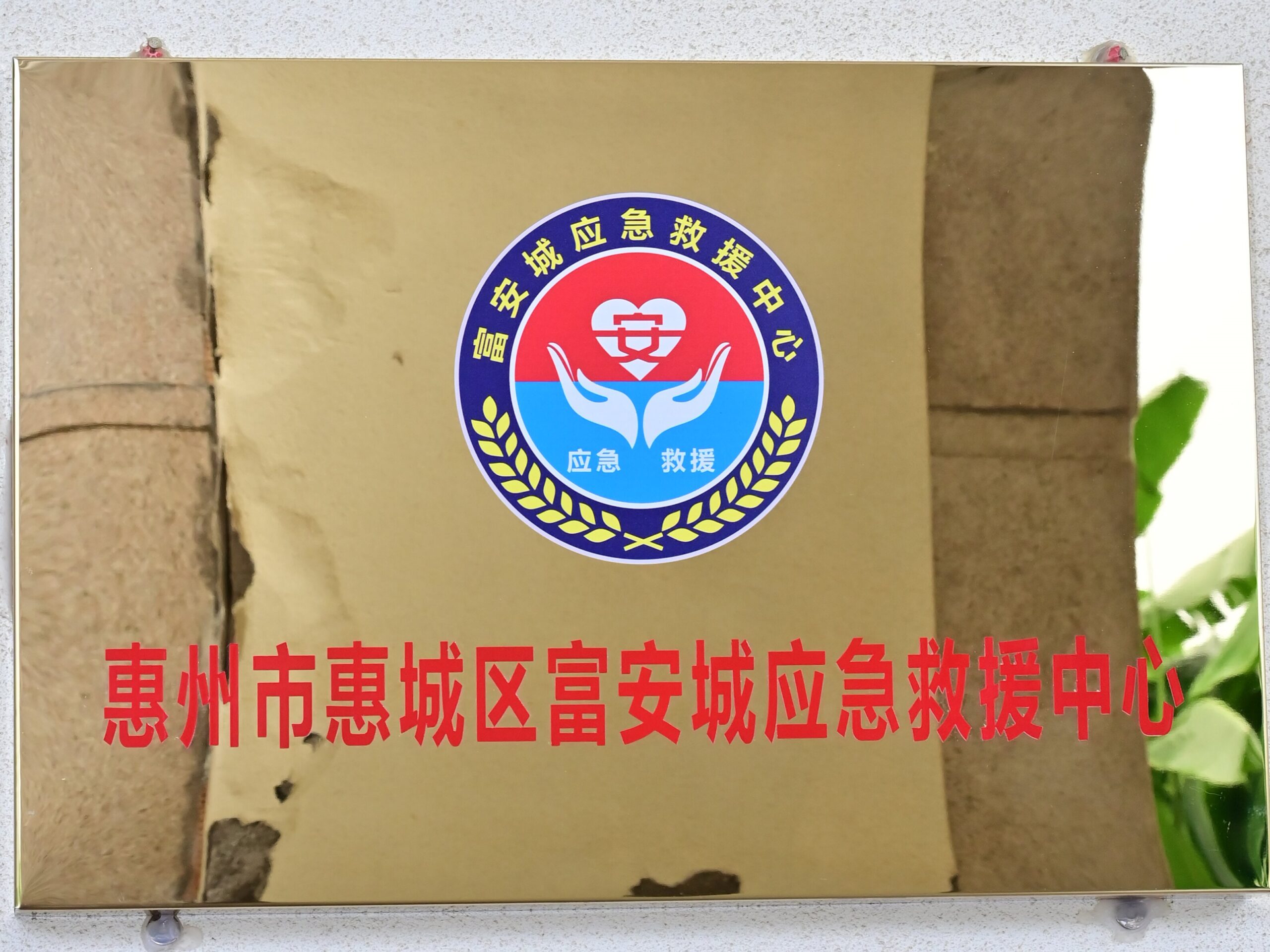 资质
